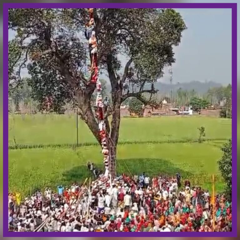 झंडा साहिब:श्रीमहंत के नेतृत्व में एक दल ने झण्डे का किया आरोहण