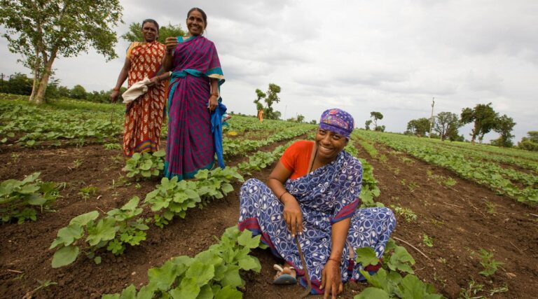 उधम सिंह नगर में किसानों को राहत, नई कृषि योजना से बढ़ेगा उत्पादन