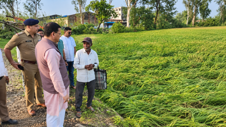 मुख्यमंत्री धामी ने बाजपुर में ओलावृष्टि से हुए नुकसान का लिया जायजा, अधिकारियों को दिए आकलन के निर्देश